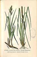  no thumbnail available