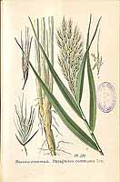  no thumbnail available