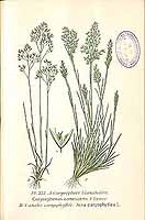  no thumbnail available