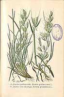  no thumbnail available