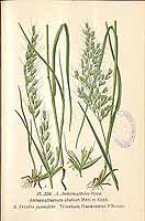  no thumbnail available