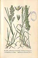  no thumbnail available