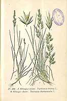  no thumbnail available