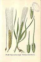  no thumbnail available