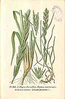  no thumbnail available