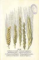  no thumbnail available