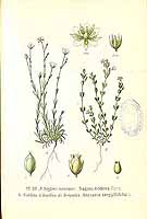  no thumbnail available