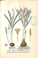  no thumbnail available