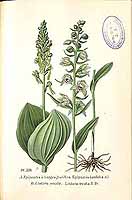  no thumbnail available