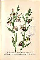  no thumbnail available