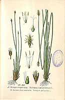  no thumbnail available