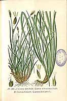  no thumbnail available