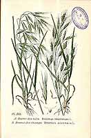  no thumbnail available