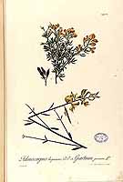  no thumbnail available