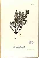  no thumbnail available