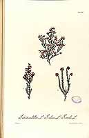  no thumbnail available