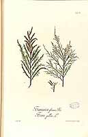  no thumbnail available