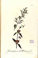  no thumbnail available