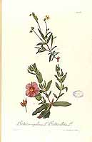  no thumbnail available