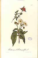  no thumbnail available