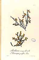  no thumbnail available