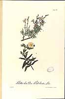  no thumbnail available