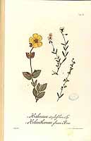  no thumbnail available