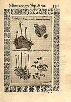  no thumbnail available