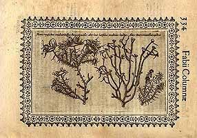  no thumbnail available