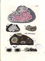  no thumbnail available