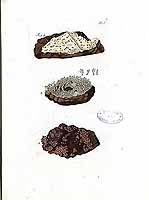  no thumbnail available