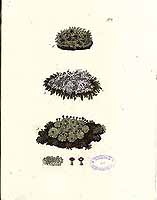  no thumbnail available