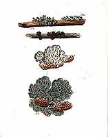  no thumbnail available