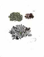  no thumbnail available