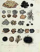  no thumbnail available