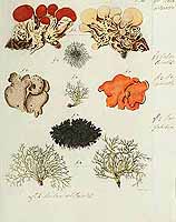  no thumbnail available