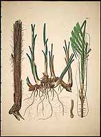  no thumbnail available