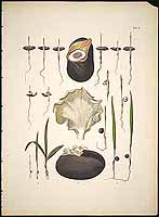  no thumbnail available