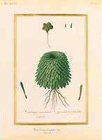  no thumbnail available