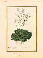  no thumbnail available