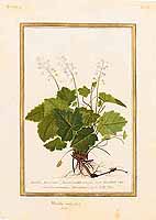  no thumbnail available