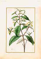  no thumbnail available