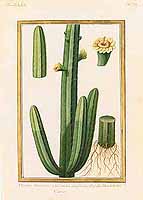  no thumbnail available