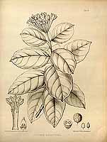  no thumbnail available