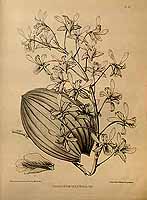  no thumbnail available