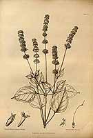  no thumbnail available