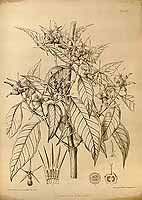  no thumbnail available