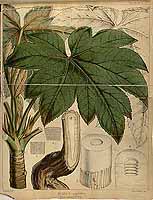  no thumbnail available