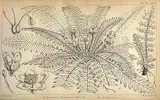  no thumbnail available