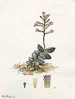  no thumbnail available